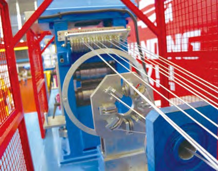 3681663037568130.jpg 圖片20.jpg