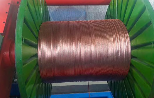 3831662704512366.jpg 圖片4.jpg