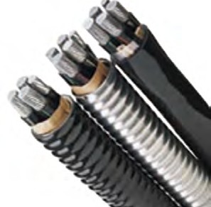 389166303460034.jpg 圖片9.jpg