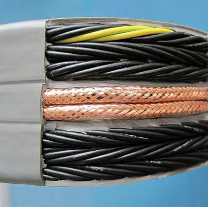 5561662529396269.jpg 圖片33.jpg